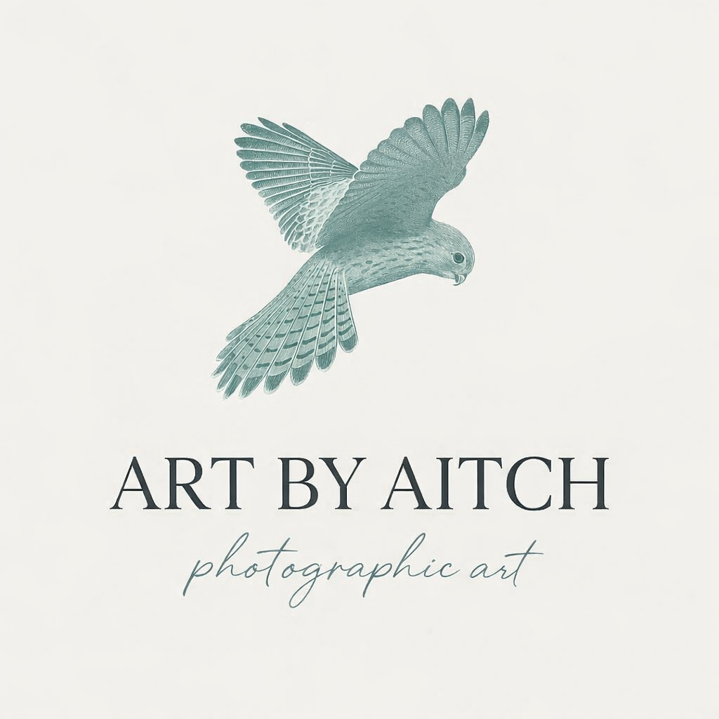 The Story Behind Art by Aitch
