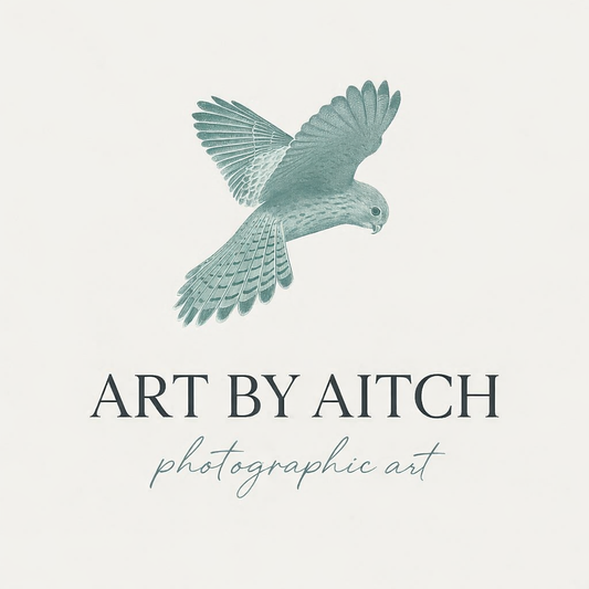 The Story Behind Art by Aitch